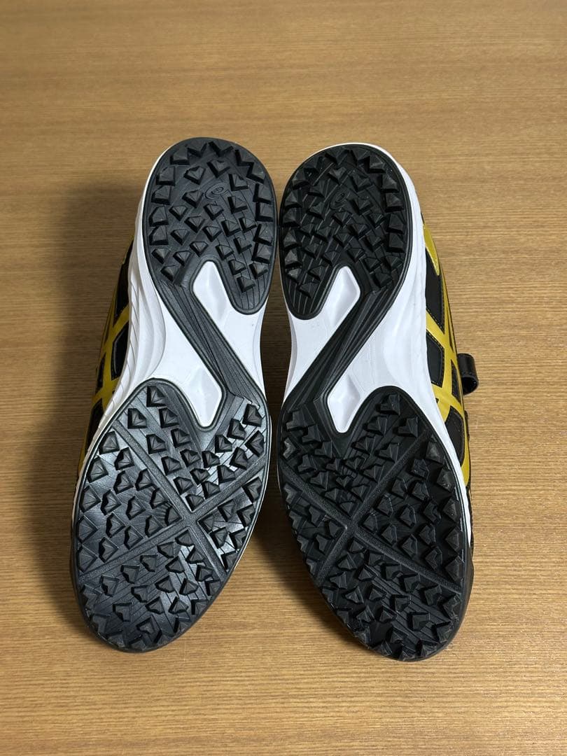 ASICS トレーニングシューズ ブラック/ゴールド 28.0㎝