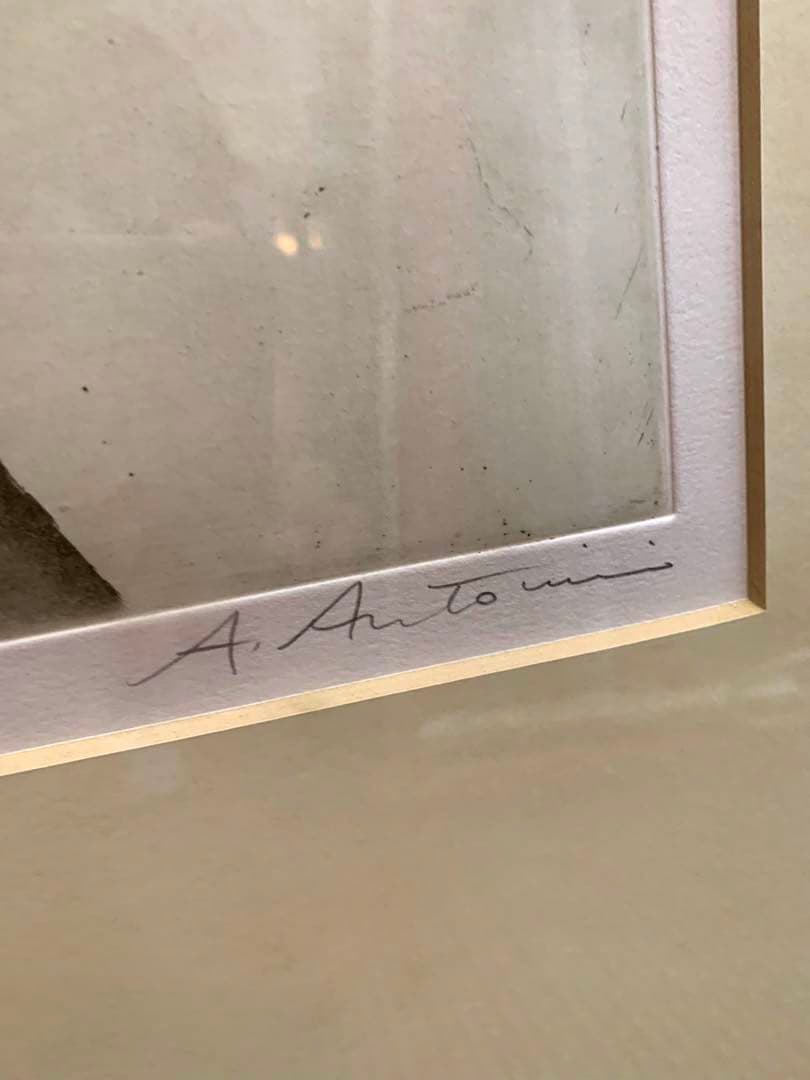 シリアルナンバー有り　アントニーニ　「鉛筆と布」