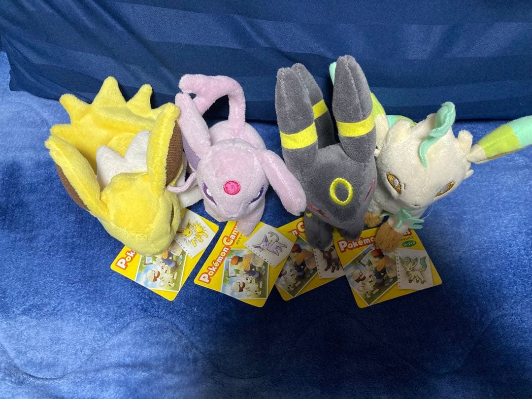 ポケモンセンター　キャンバス　ぬいぐるみ　タグ付き　4点セット