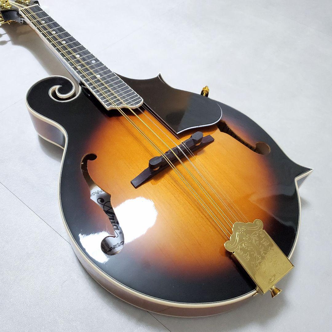 【極美品✨️】ARIA AM-40 フラットマンドリン ハードケース付き
