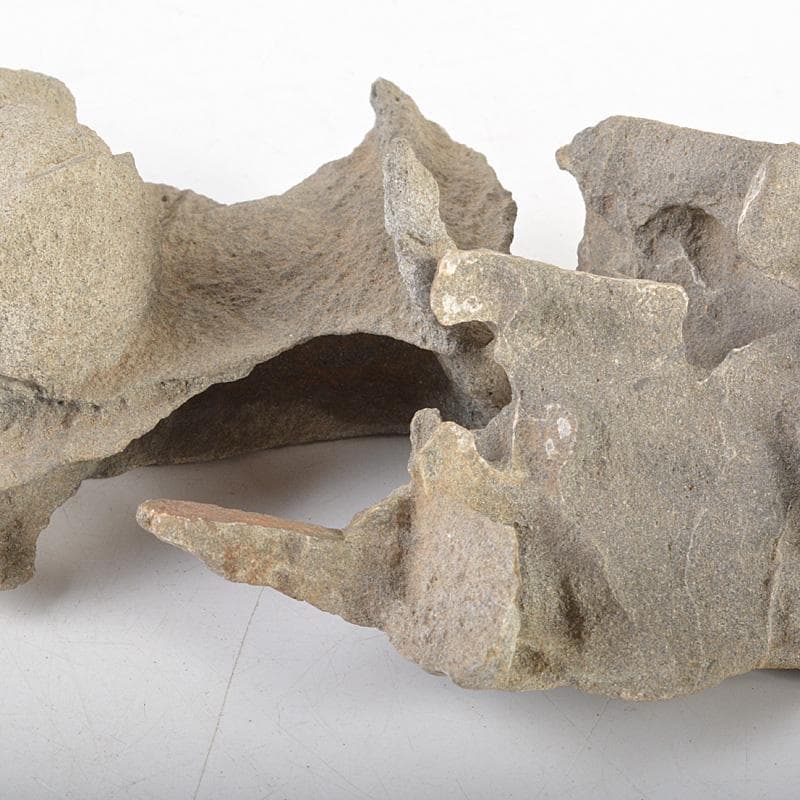 鑑賞石　天然石　木化石　梅化石など　置物　12点まとめて　C　R6254C