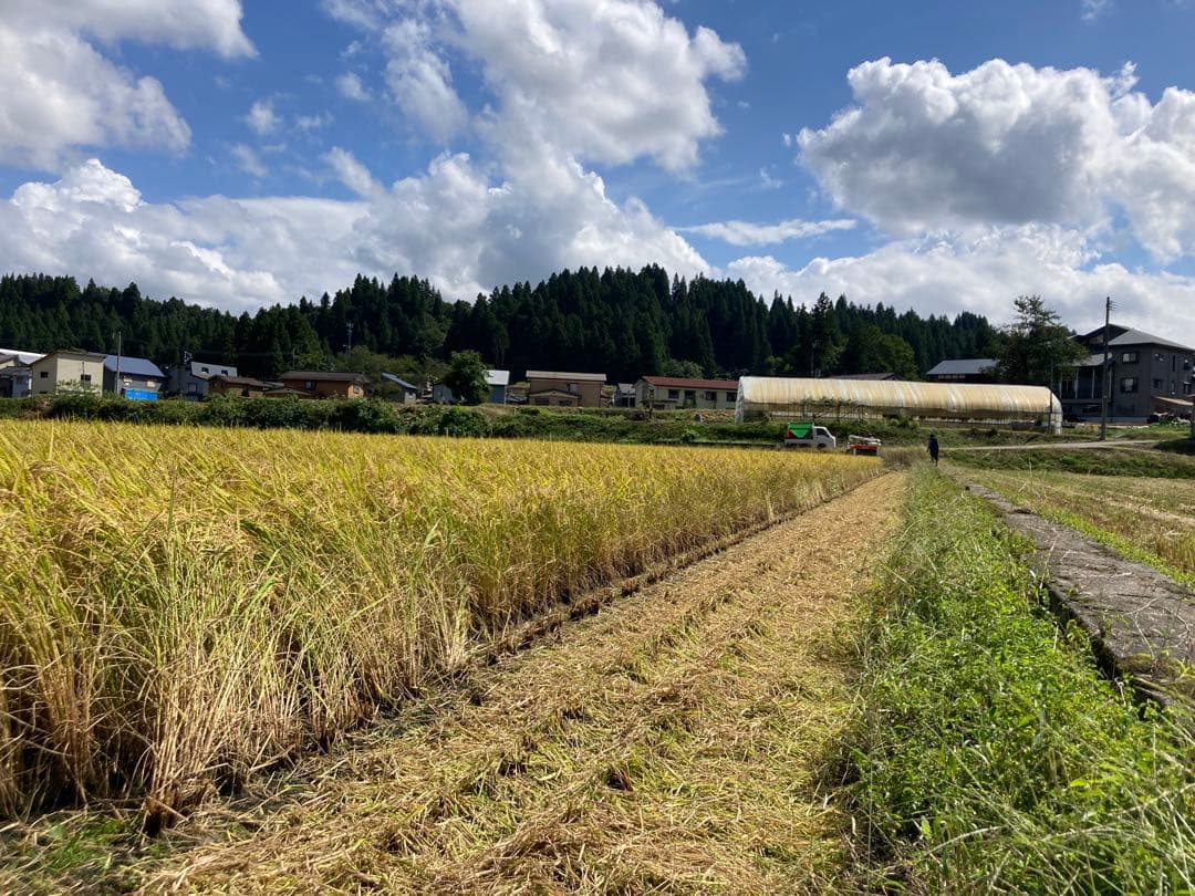 7年魚沼産コシヒカリ　玄米30kg