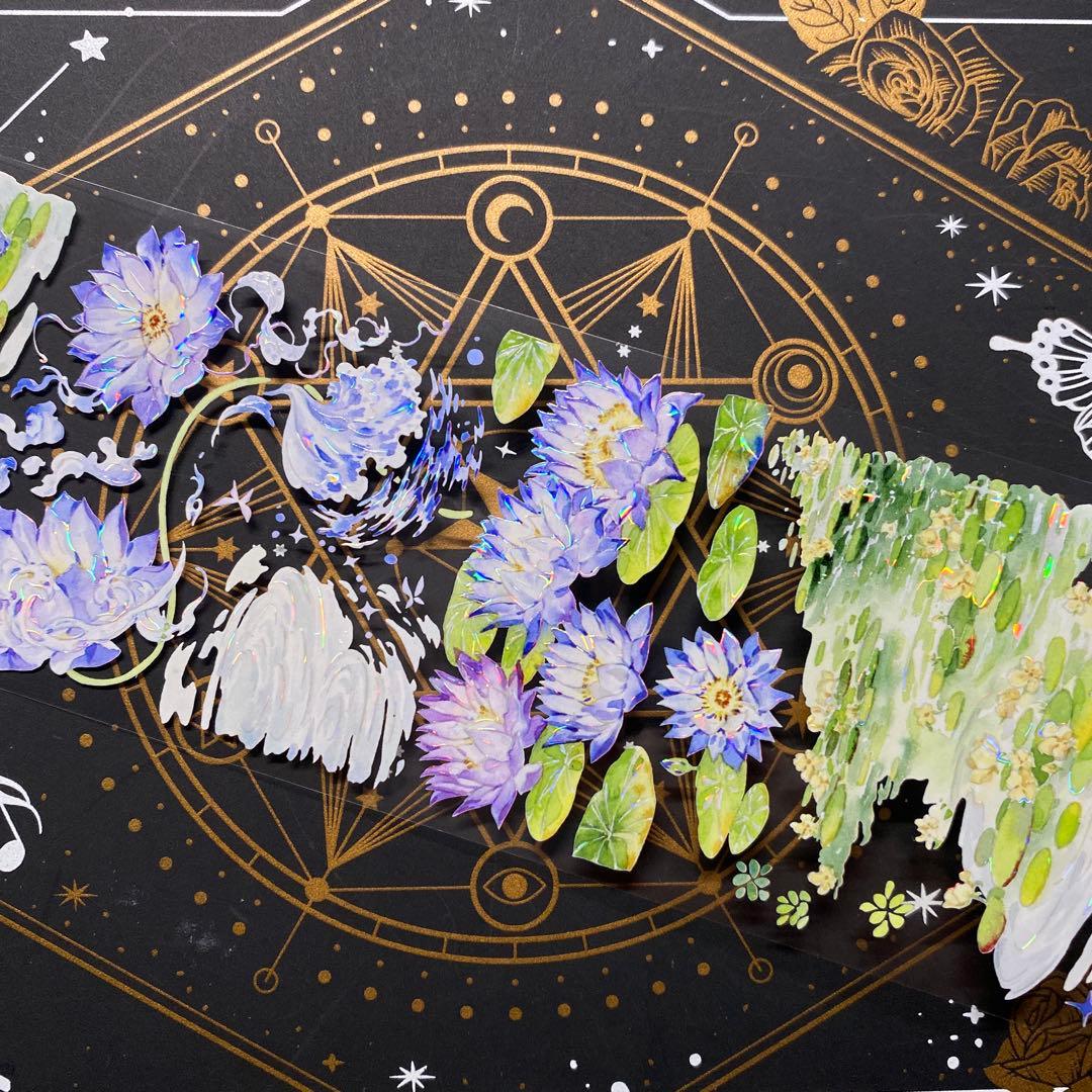 【9152】海外　マスキングテープ　中古巻　貝殻光ハス　波紋水紋　装飾系残量多め