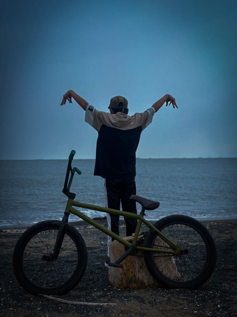 BMX ストリート SUBROSA COMPLETE