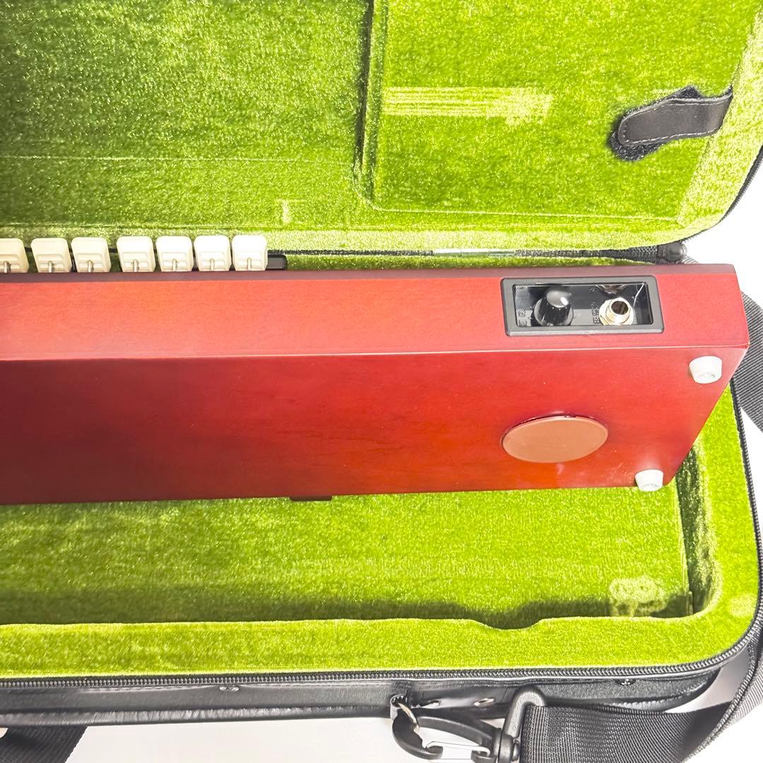 SUZUKI 大正琴 TAS-11