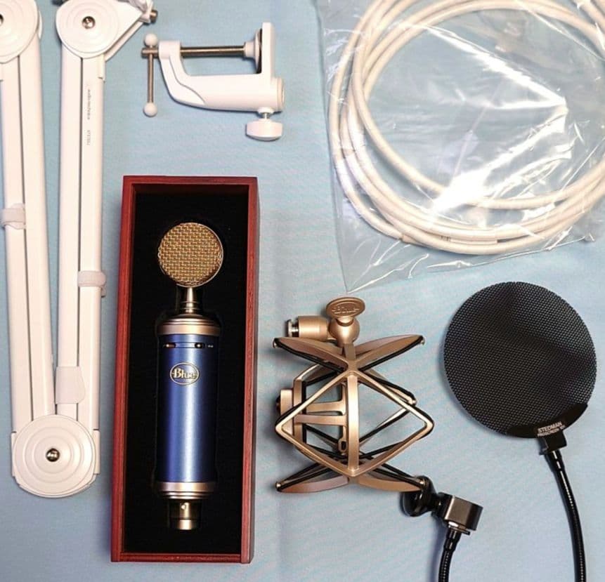 Bluebird SL コンデンサーマイク　bm1200　宅録　配信　歌ってみた
