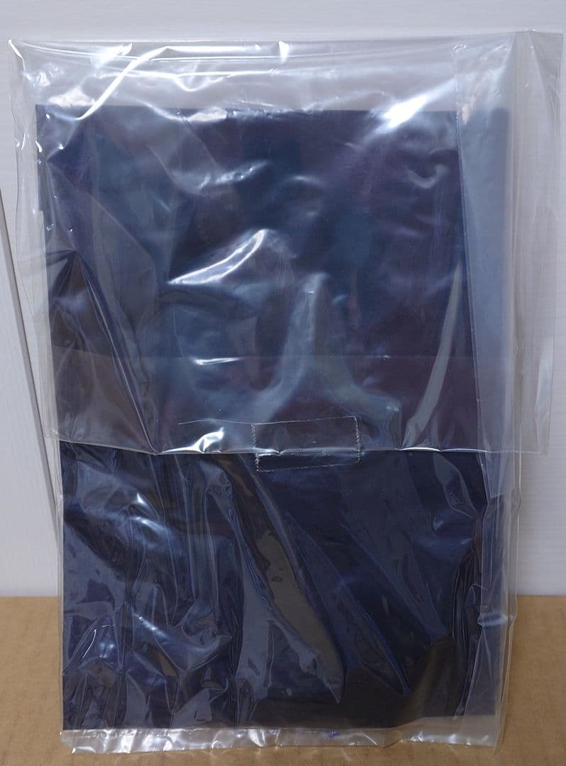 RAH仮面ライダー〜ショッカー戦闘員(ベレー帽TYPE)2体セット