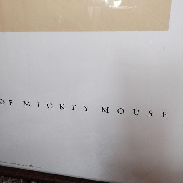 90sヴィンテージ Wayne Thiebaud ミッキーマウス Disney