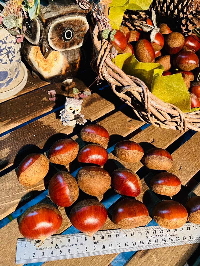 【新月様ご依頼分】専用大粒②ネット＋むき栗②＋手書きクール便＋北海道送料1460