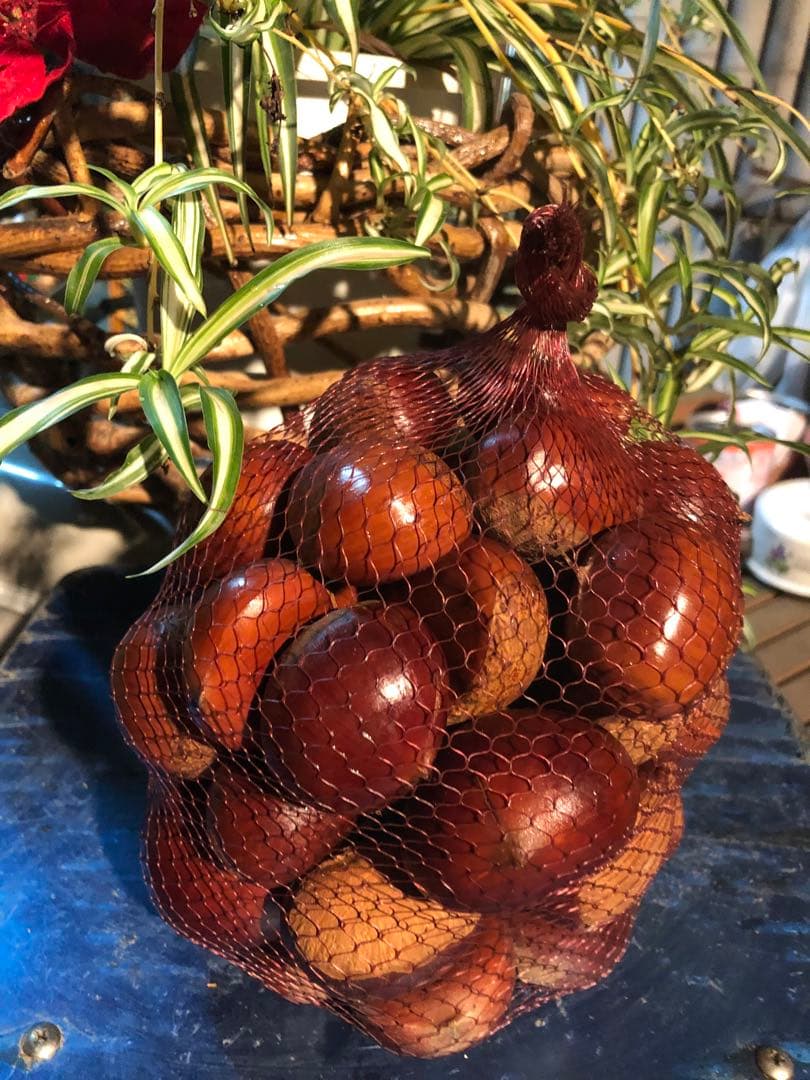 【新月様ご依頼分】専用大粒②ネット＋むき栗②＋手書きクール便＋北海道送料1460