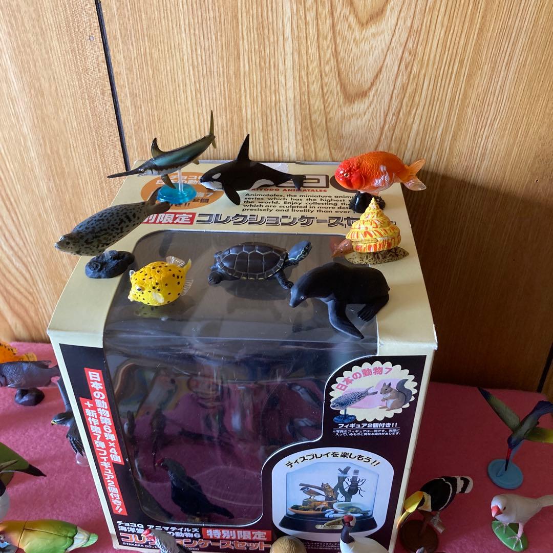 海洋生物動物フィギュアセットわがままな日本の天然記念物カード50枚以上特別ケース