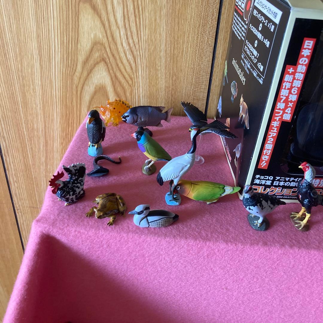 海洋生物動物フィギュアセットわがままな日本の天然記念物カード50枚以上特別ケース