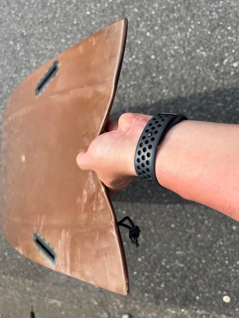 user_9fbdb4ff  希少　GO FISH