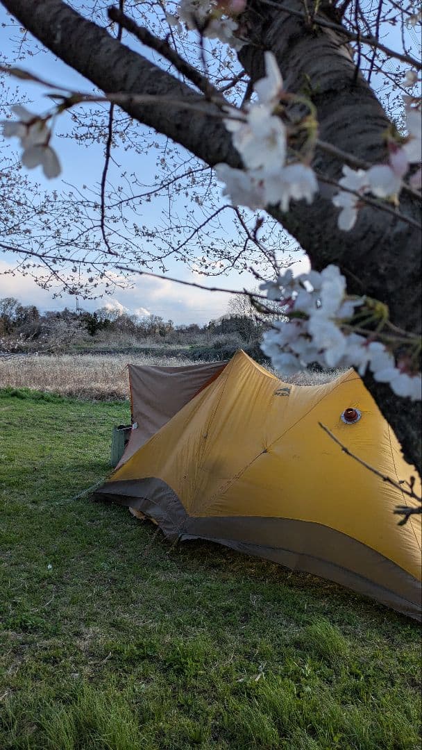 【貴重】MSRツインブラザーズシェルターテント