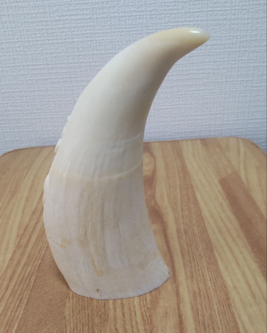 マッコウ鯨の歯 彫刻 　龍　玉峰