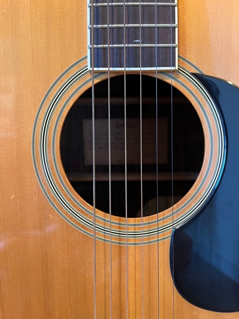 Cat's Eyes CE-200 アコースティックギター　ケース付き