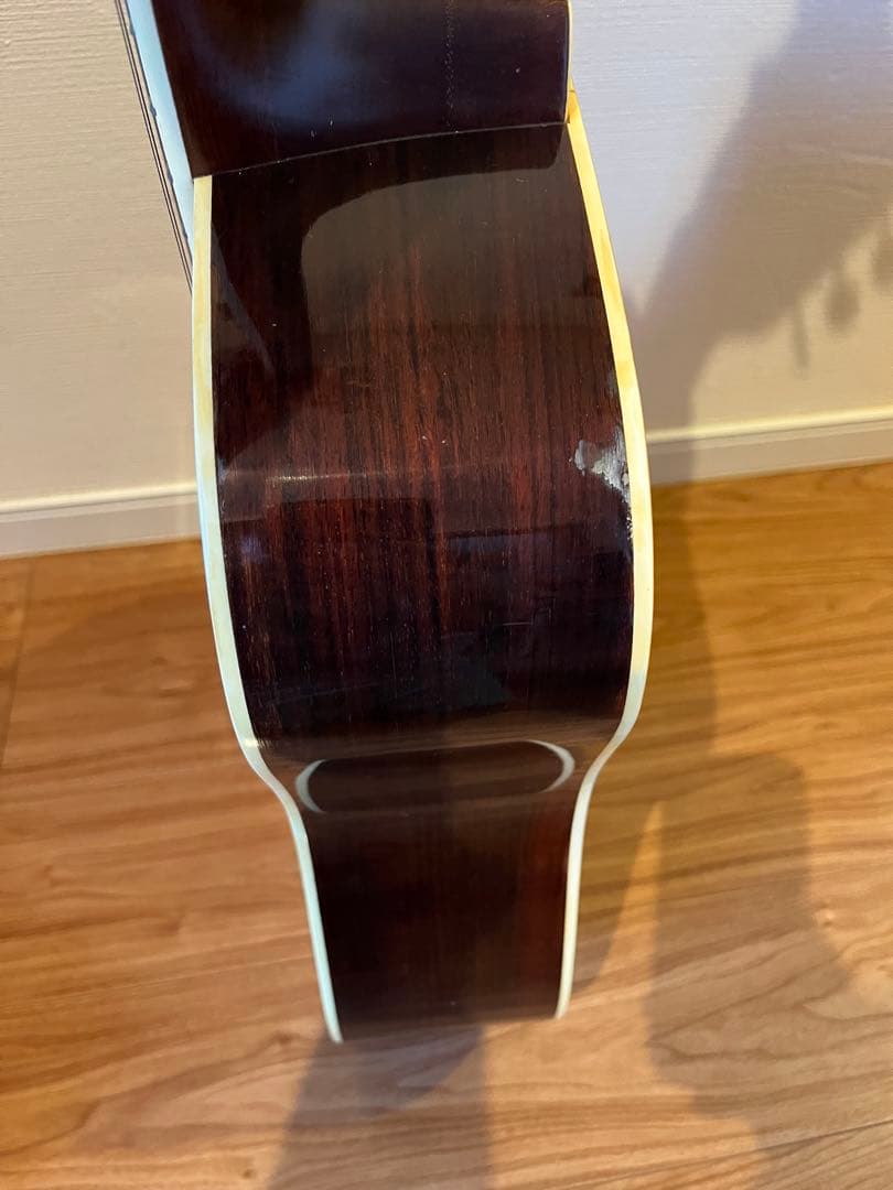 Cat's Eyes CE-200 アコースティックギター　ケース付き