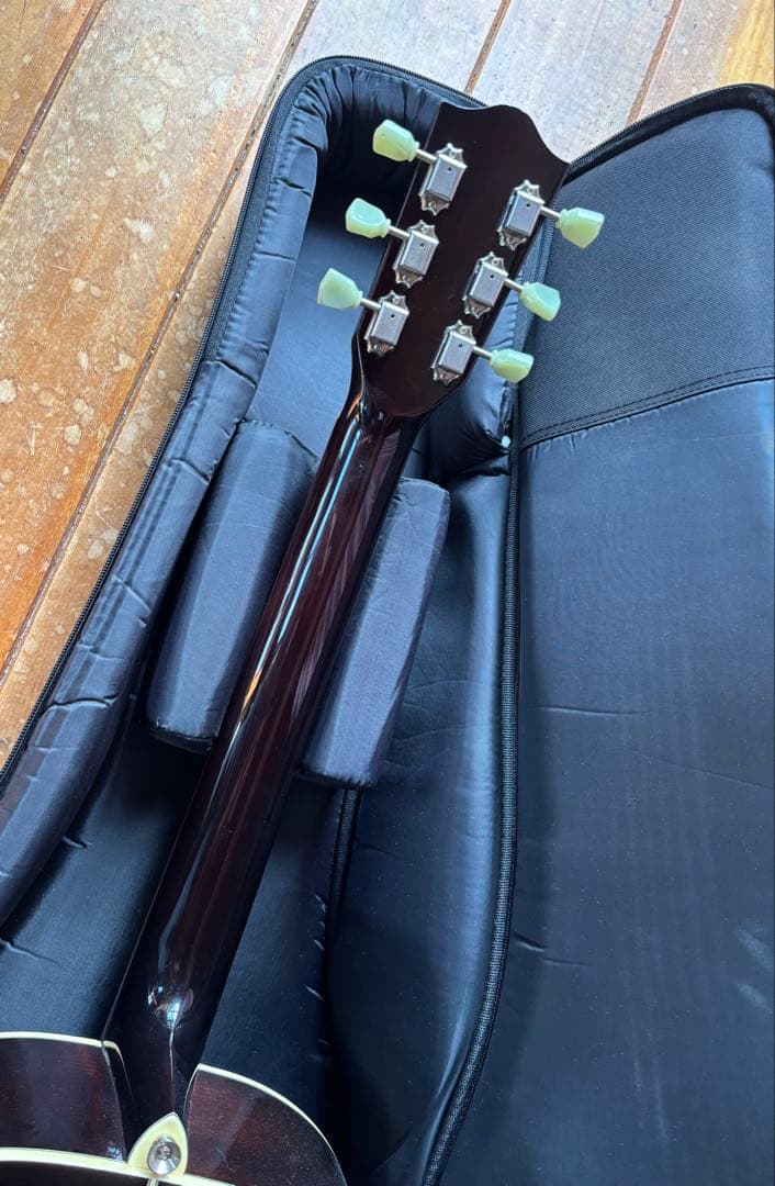 エレアコ Stafford SAD-600BS ギグバッグ付