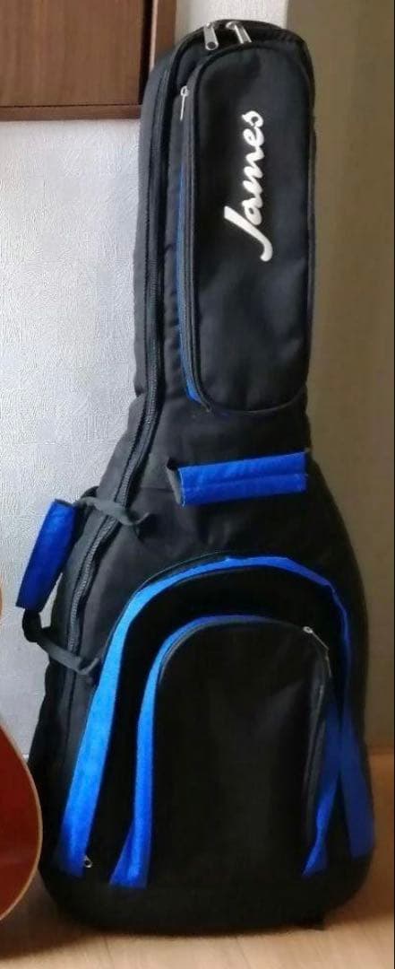 エレアコ Stafford SAD-600BS ギグバッグ付