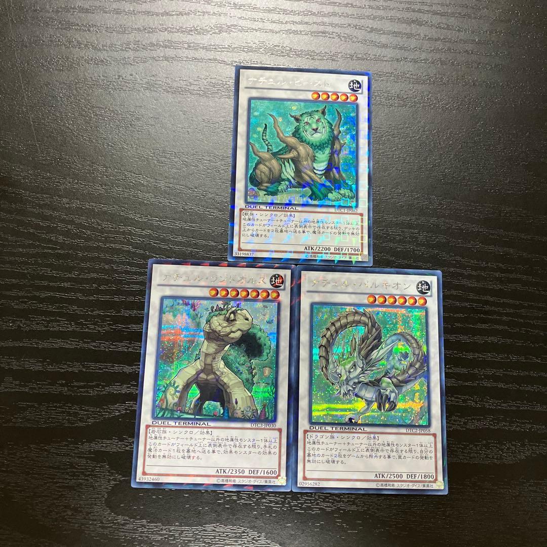 遊戯王　ナチュルシンクロ　シークレットレア3枚セット【DTC版】