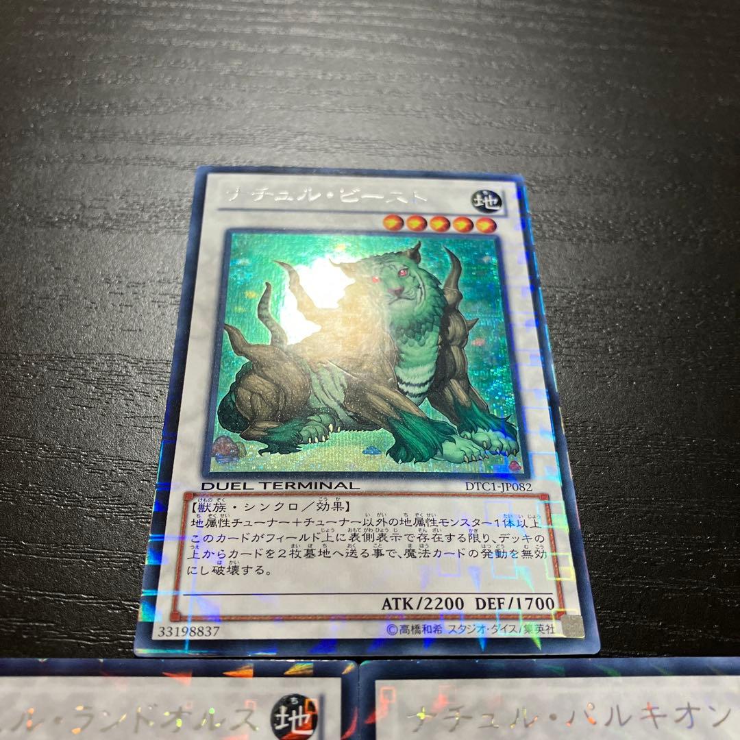 遊戯王　ナチュルシンクロ　シークレットレア3枚セット【DTC版】