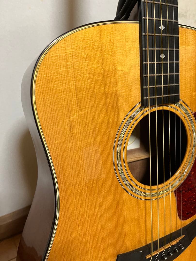 アコギ テイラー510