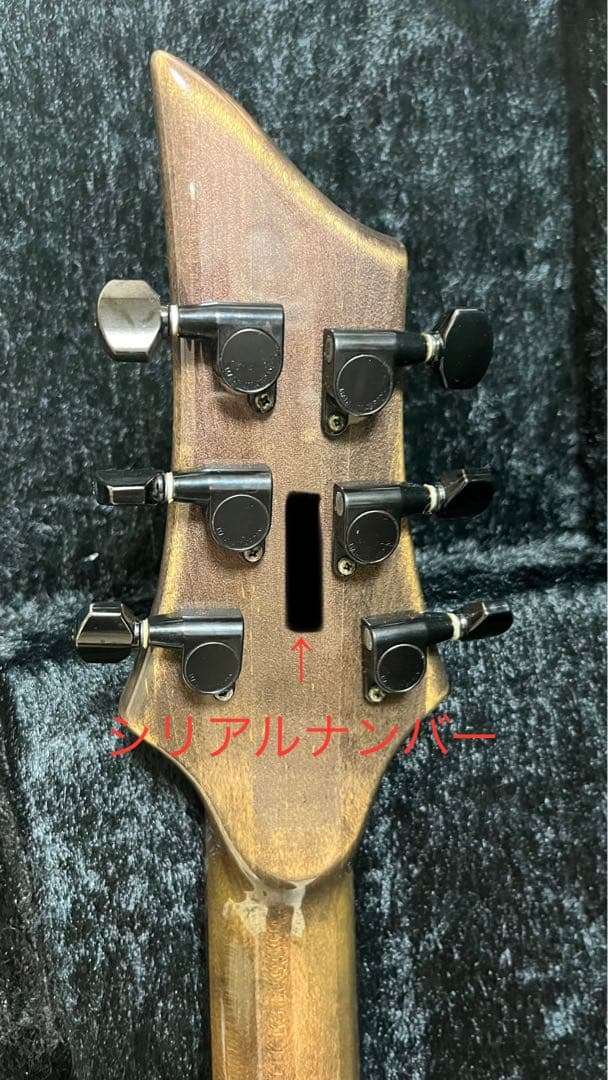 ESPエレキギター PIERROTアイジモデル(001)-560P 定価56万円