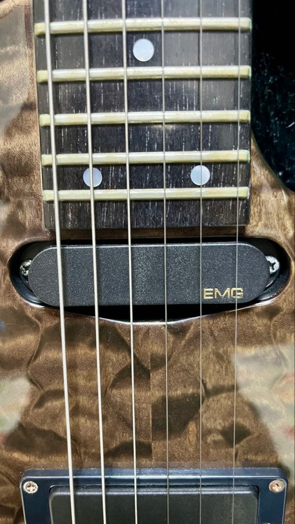 ESPエレキギター PIERROTアイジモデル(001)-560P 定価56万円