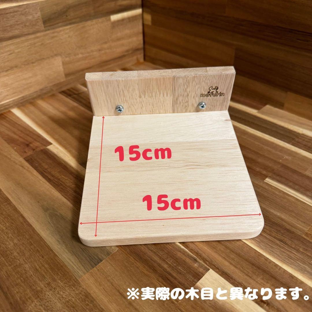 【もふりん工房】オリジナル チンチラさんお迎えスターターセット