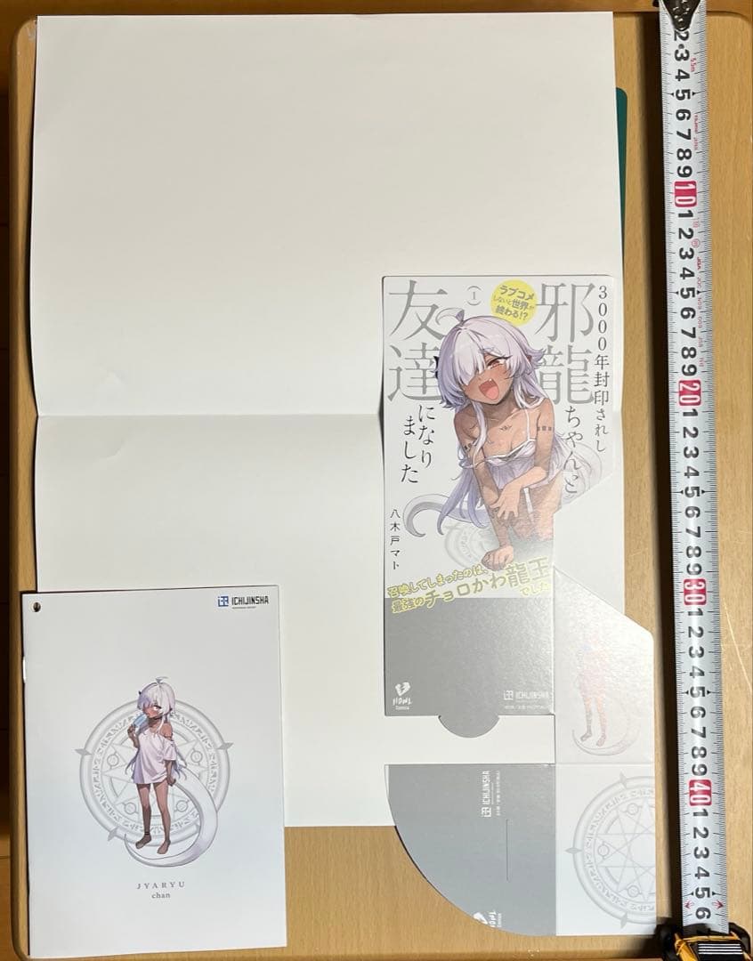 3000年封印されし邪龍ちゃんと友達になりました　ポスター・カードセット