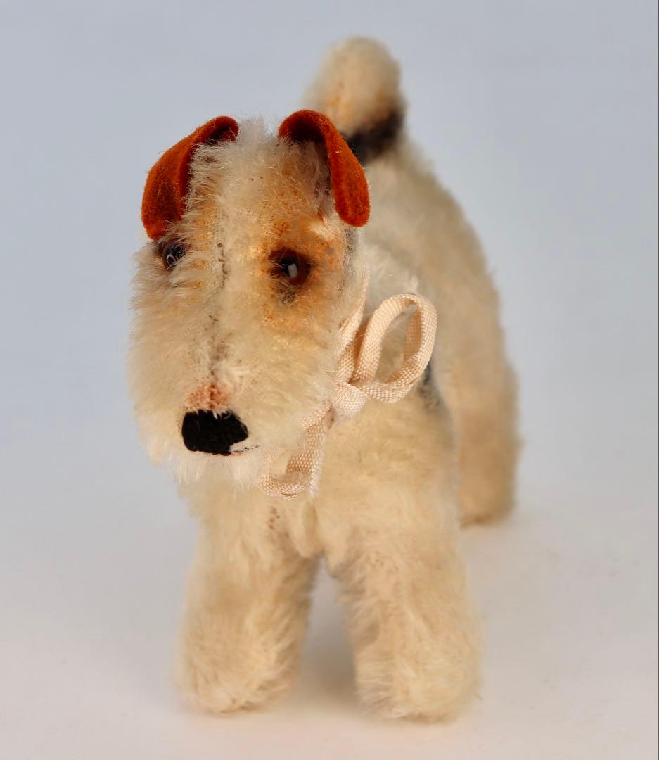 1954 FoxyTerrier シュタイフ・ビンテージ品 10cm ボタン無し