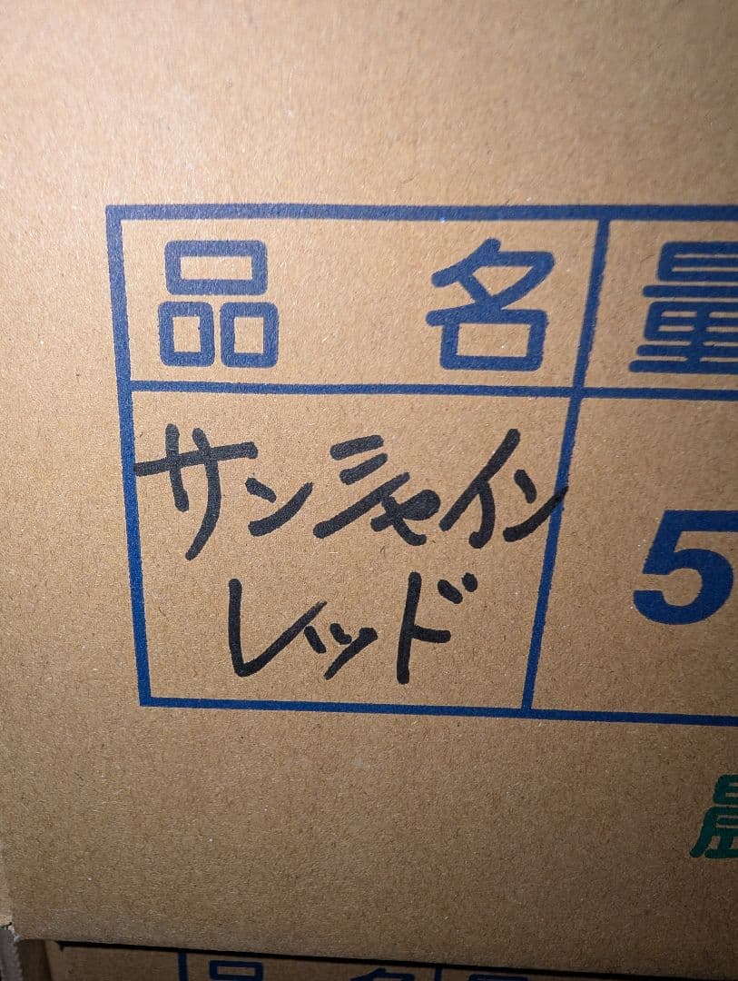 山梨県産ぶどう　サンシャインレッド　10房入り箱込み約5.1kg