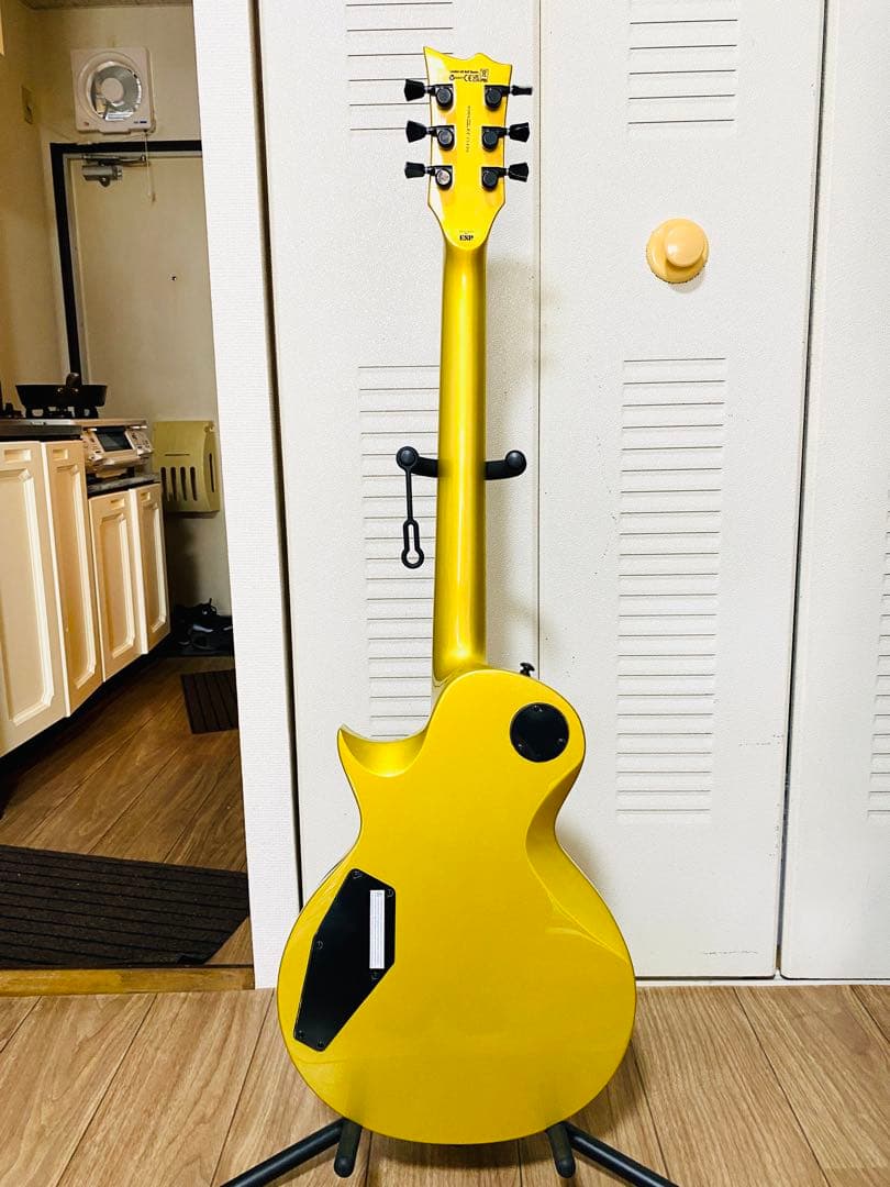 ESP LTD EC-2025 50th Anniversary世界限定500本