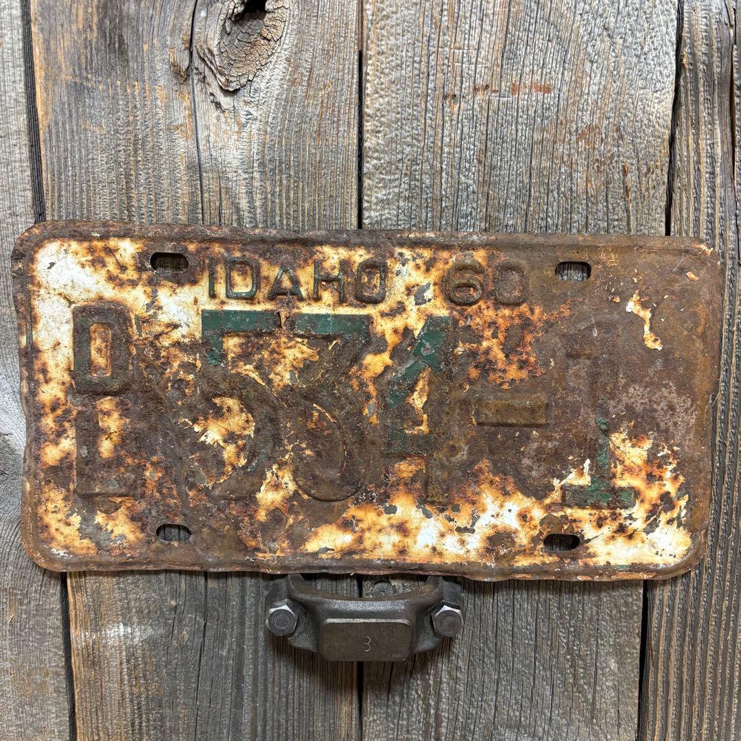 キリン様確認用