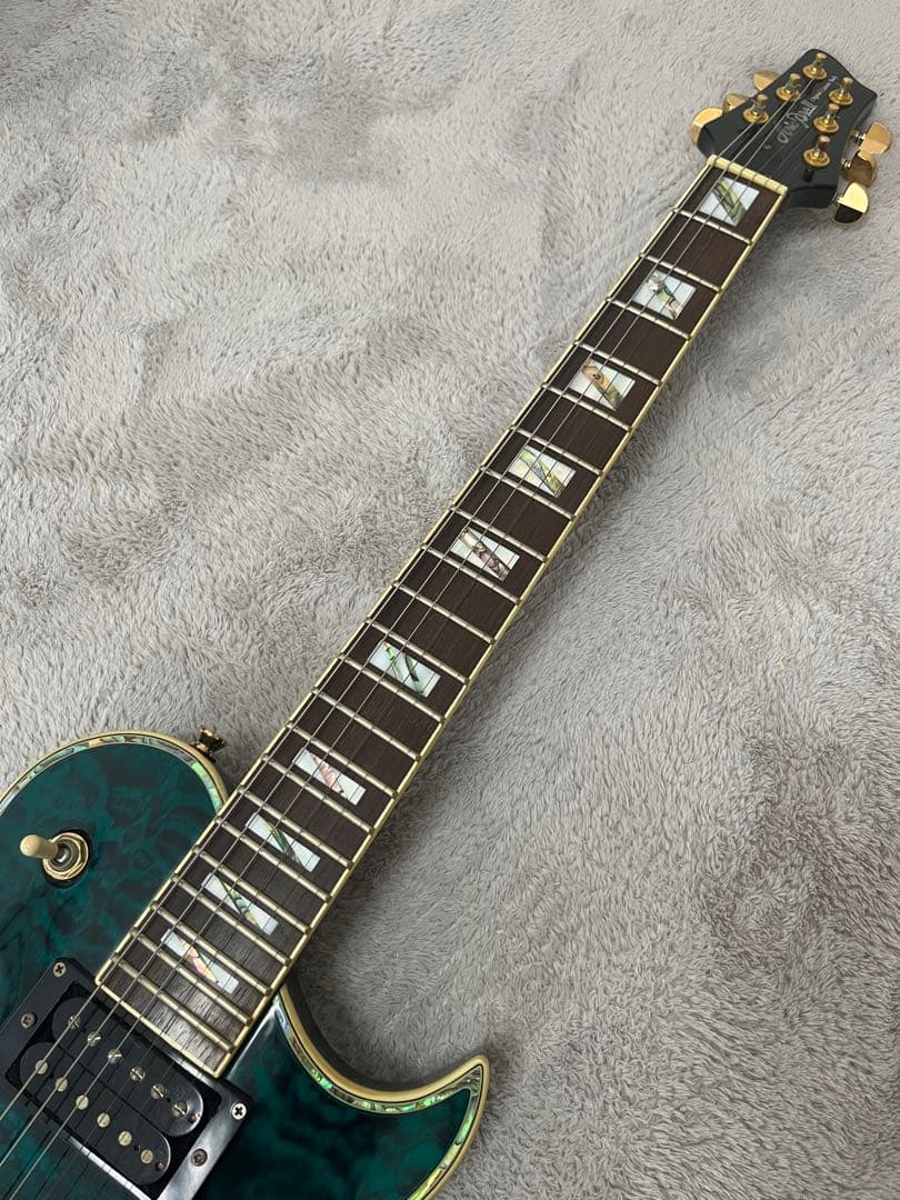 ギター Aira Pro II pe-509 