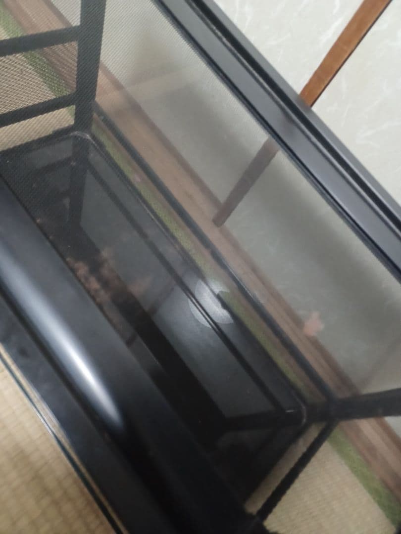 飼育ケージ　パンテオン6035?