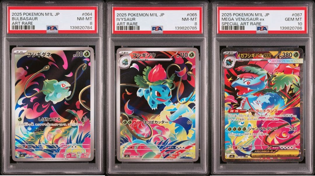 【PSA 3連番】メガブレイブ収録 フシギダネ進化ライン