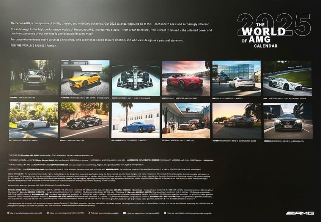 AMG 2025年 壁掛けカレンダー 新品未開封 匿名発送