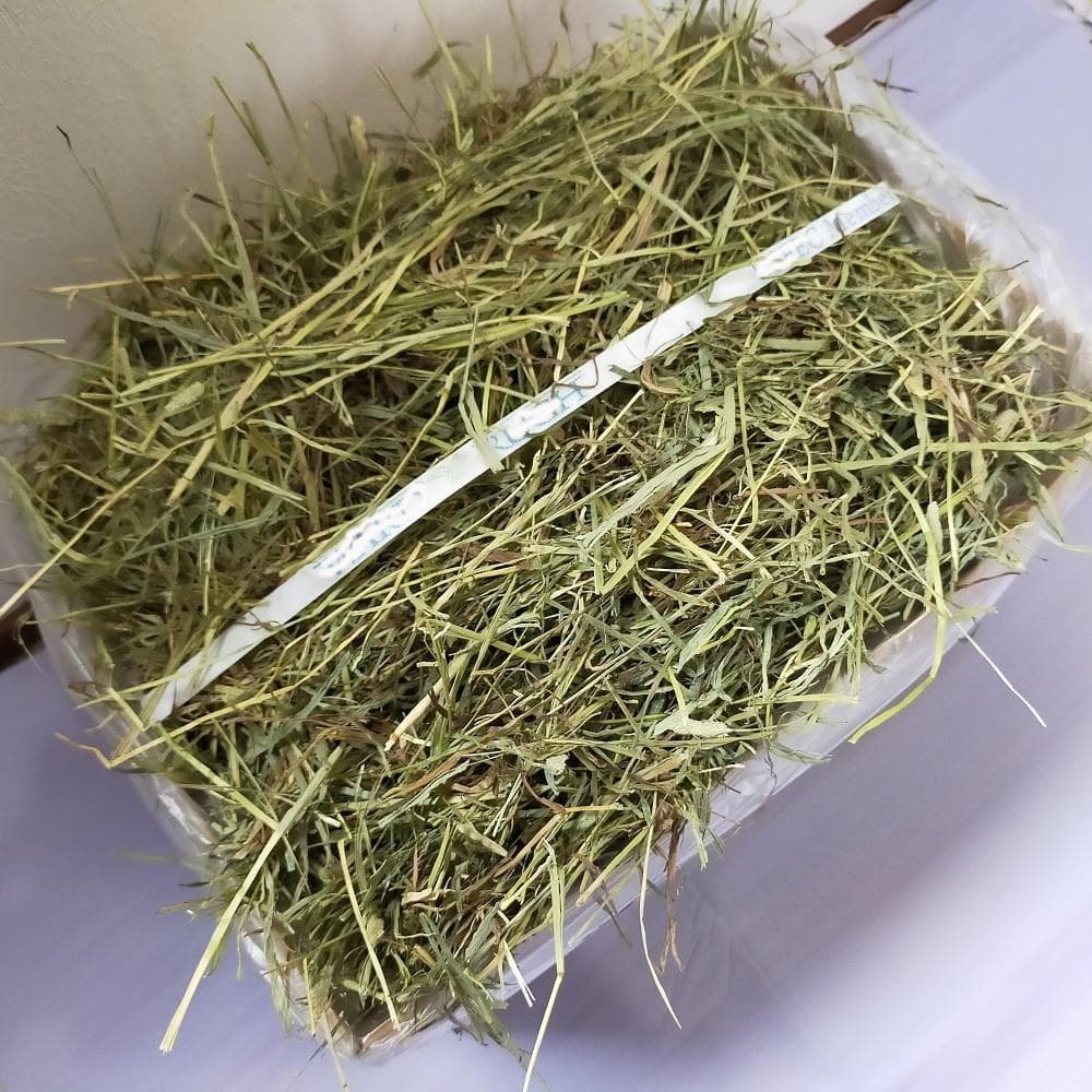 【6/30まで】US産 チモシー 50kg ２番刈り ソフトSプレミアム