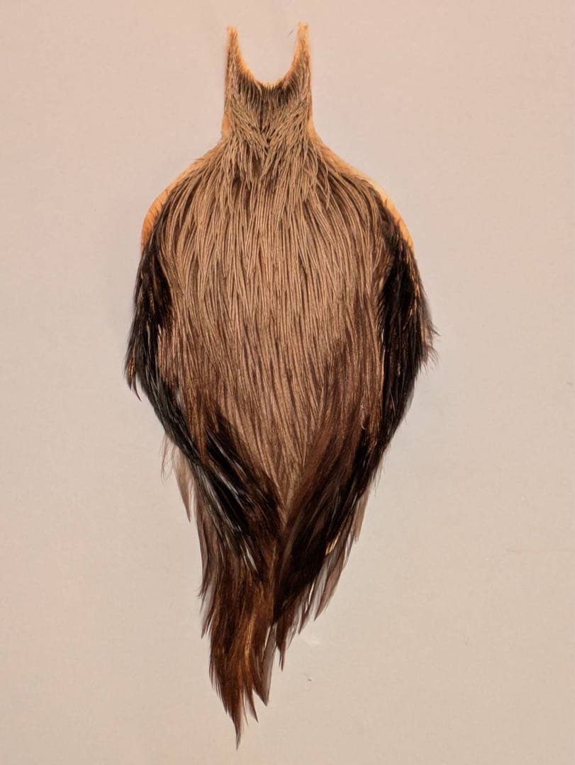 Metz コックネック　 シルバーバジャー　グレード1