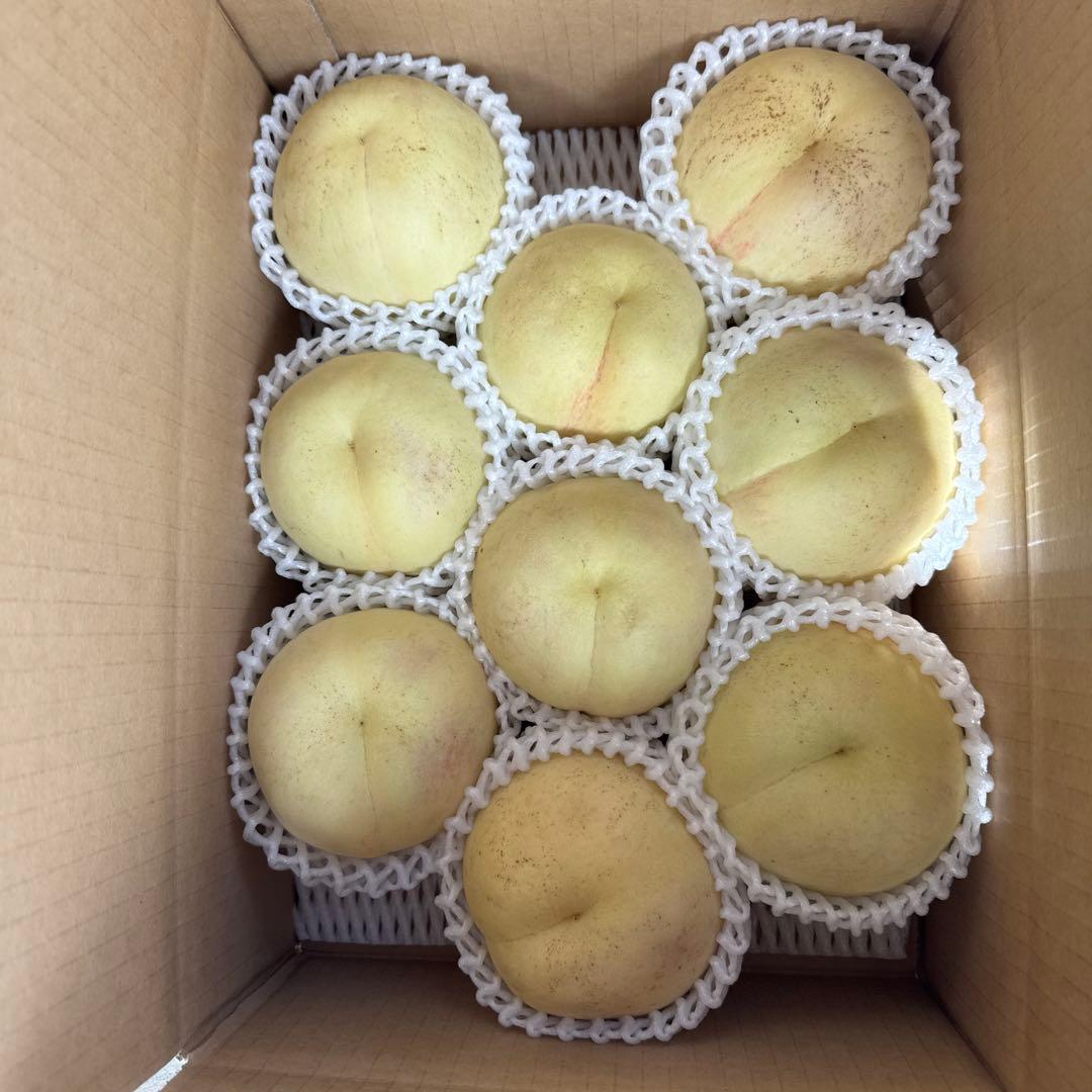 シーエックス　二箱