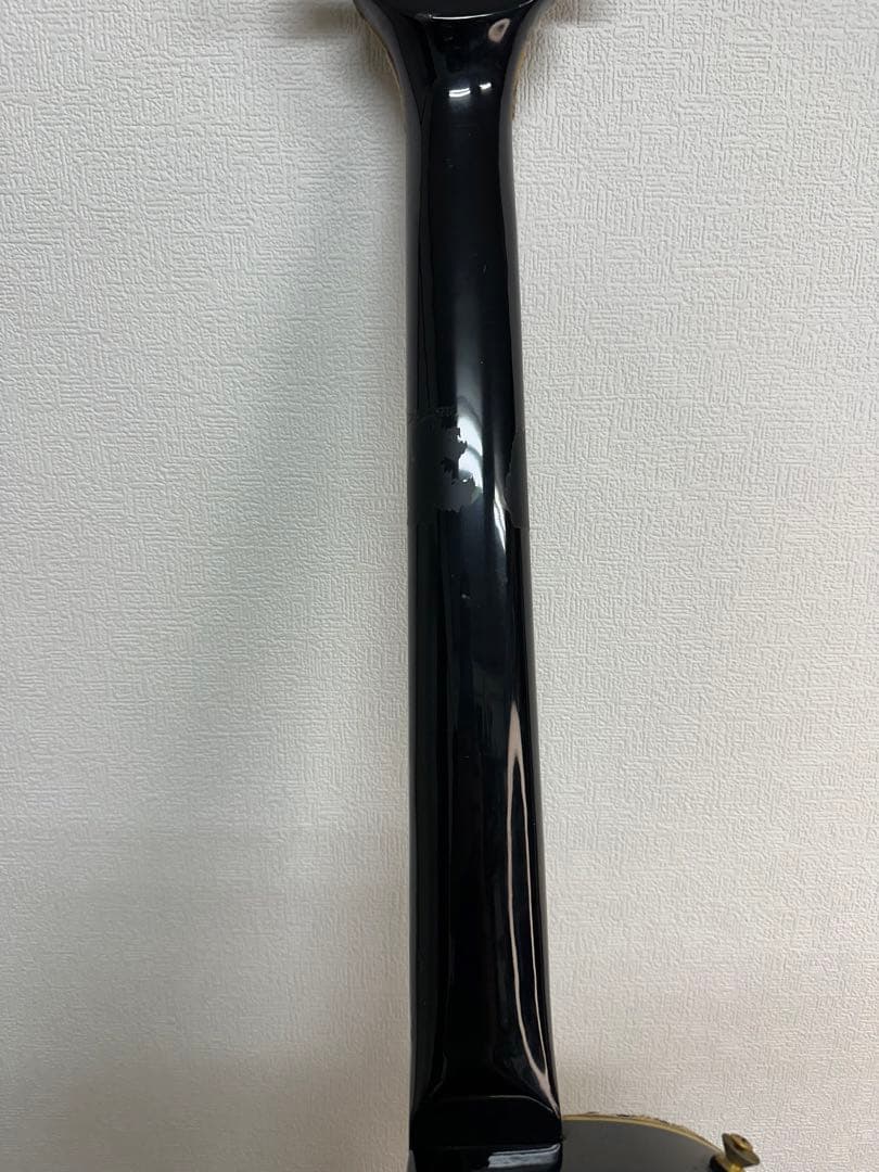 稀少エレキギター