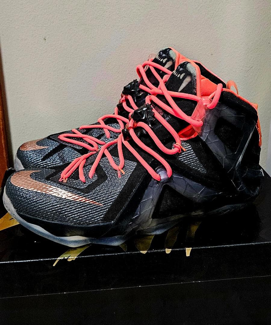 新品未使用Nike LeBron XII ELITE 12 31cm