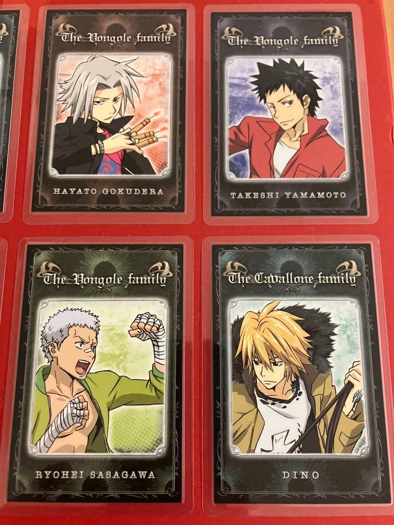 家庭教師ヒットマンREBORN 激レア　初期グッズ　ラミネートカード８枚セット