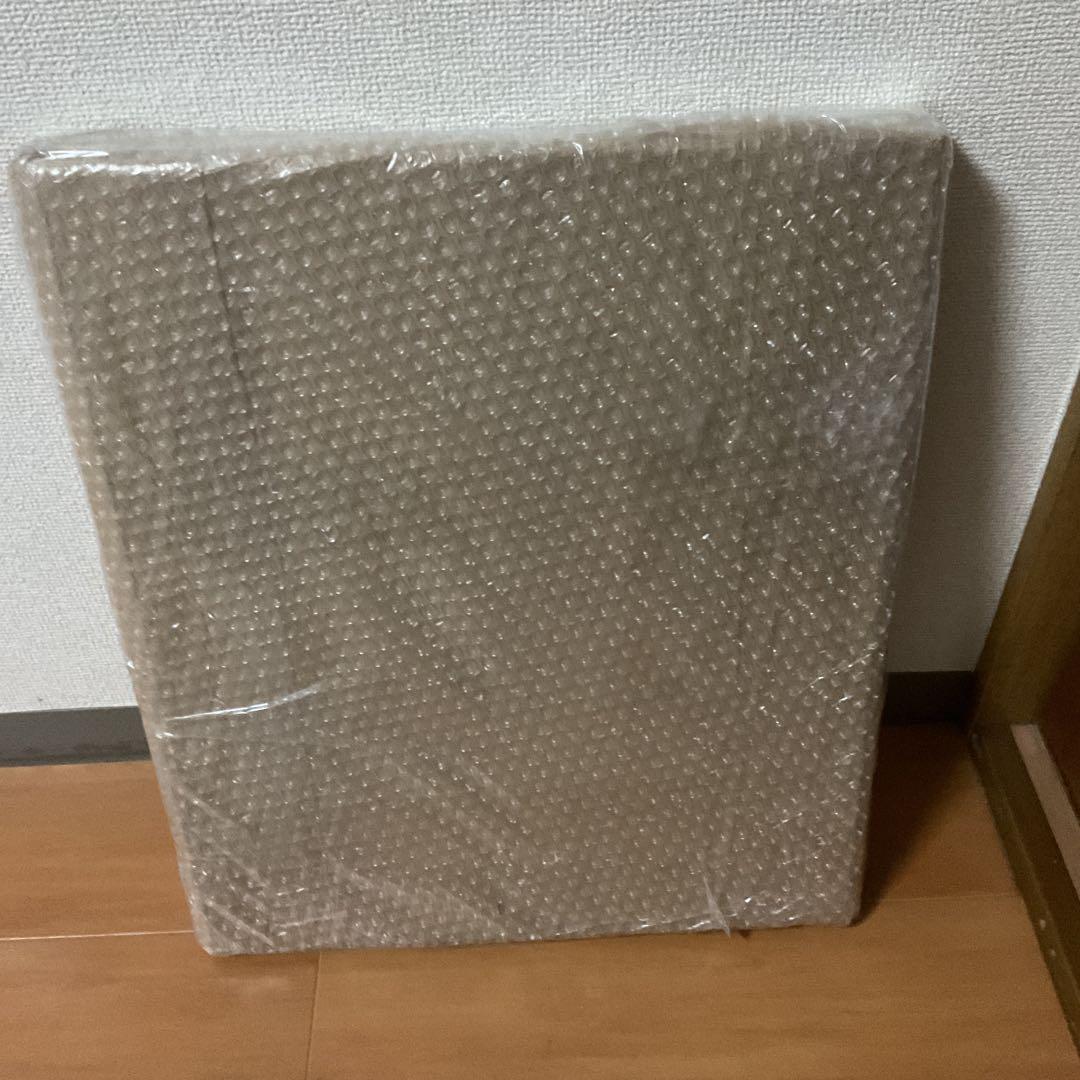 シペリウジウム　カルルム　【蘭科アツモリ草属】シンガポールラッフル