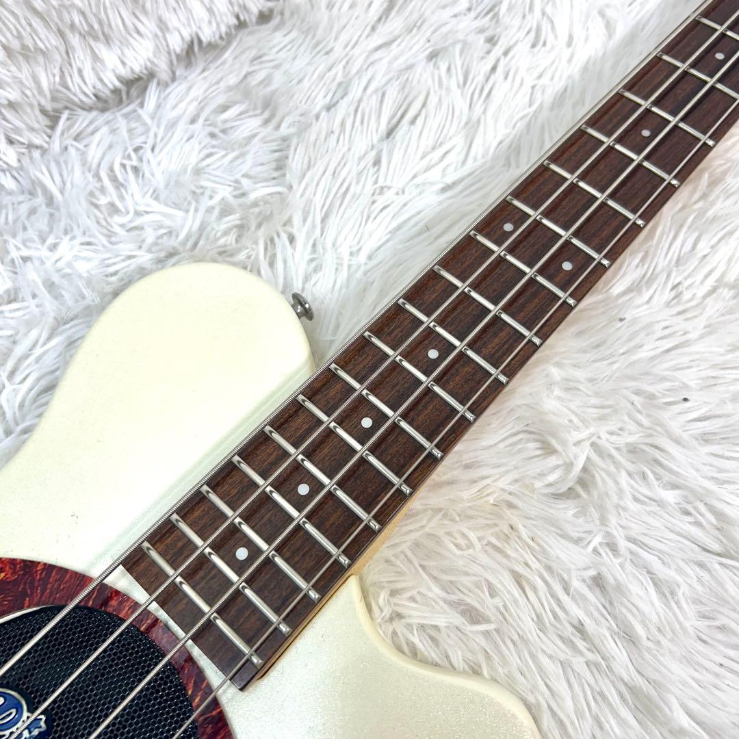 Pignose ピグノーズ アンプ内蔵 ベース プレシジョン