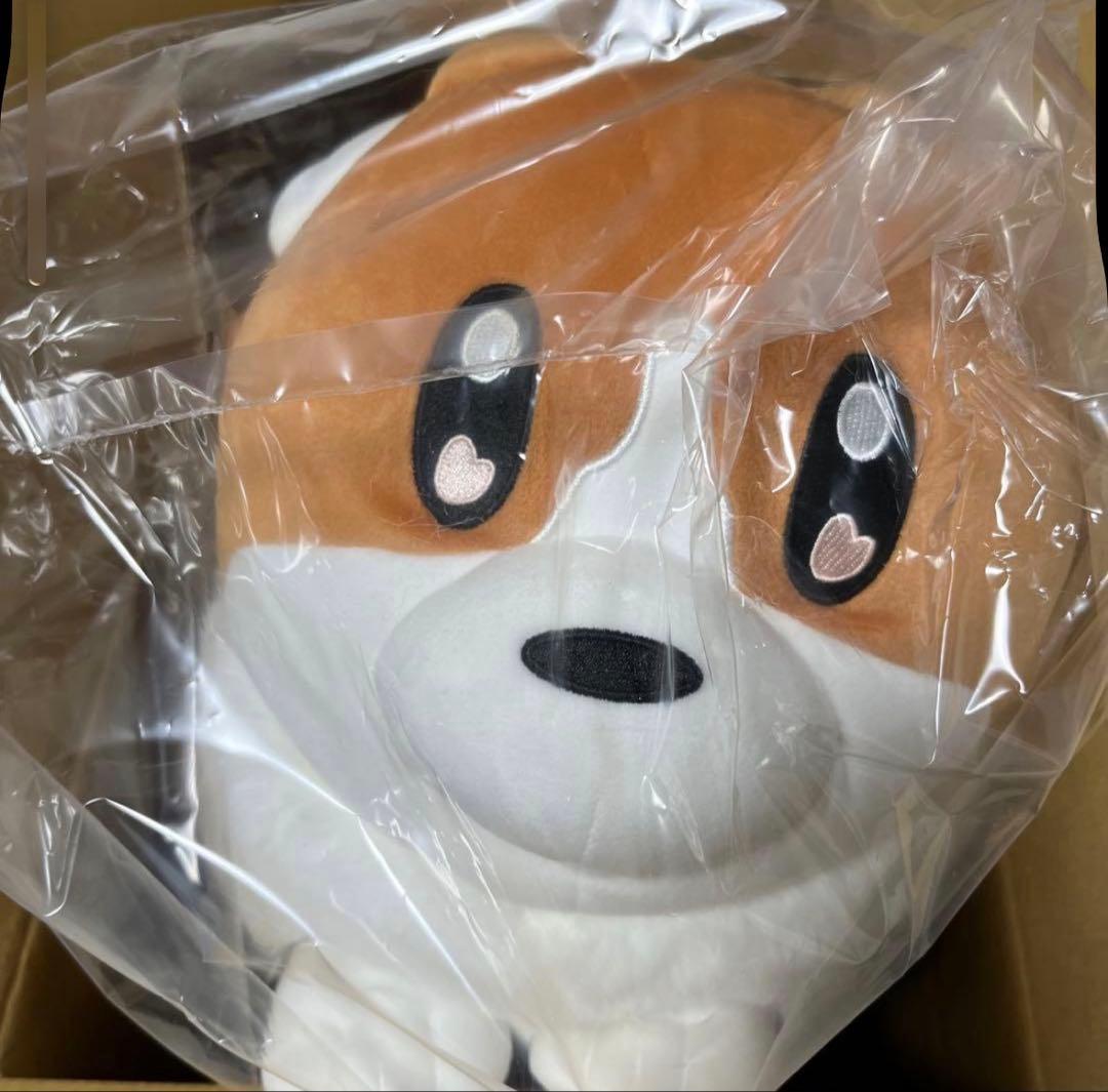 ヨルシカ コーギーぬいぐるみ suisデザイン 前世 完全受注生産 値段交渉〇