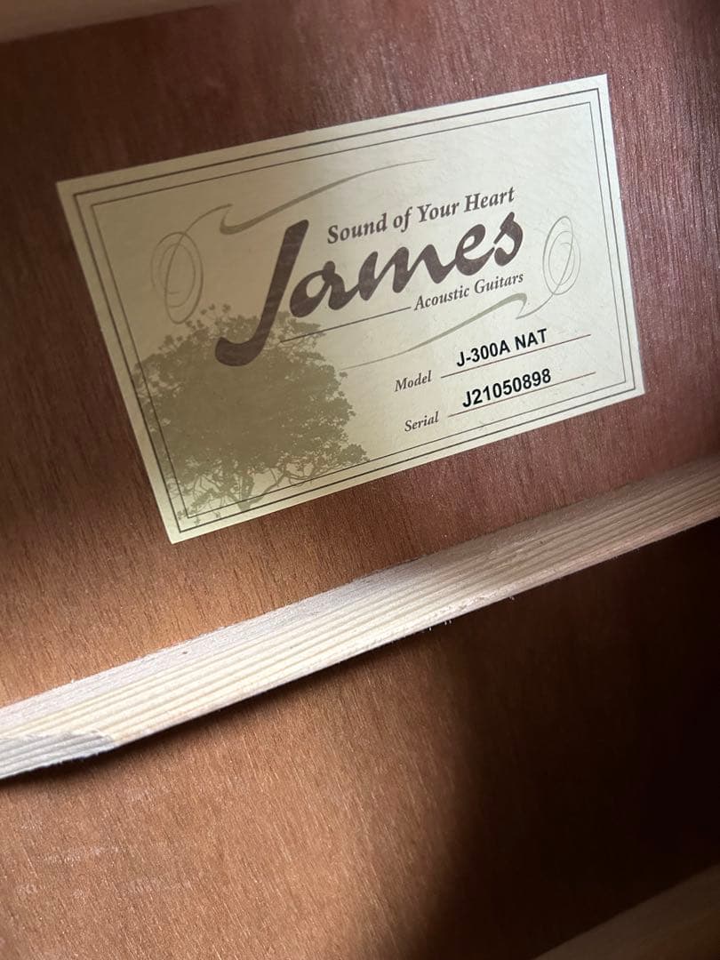 James J-300A NAT アコースティックギター