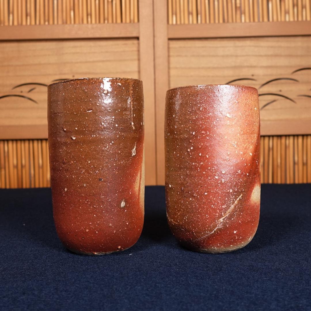 伊勢崎晃一朗のみ