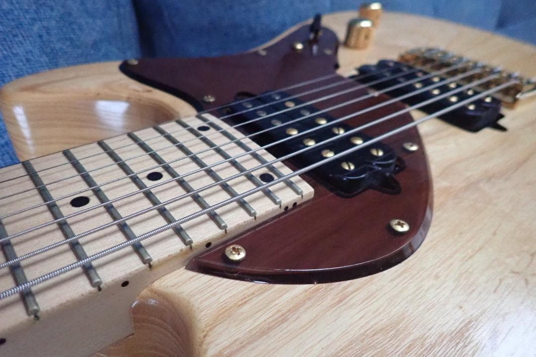 Bacchus バッカス T7-SPECIAL-I.C 7弦ギター